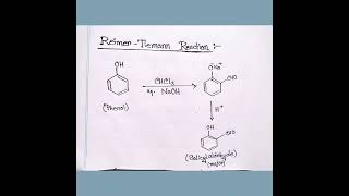 Reimer  Tiemann Reaction [upl. by Nnylav]