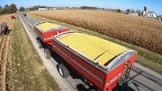 Harvest 2020 Chasing  Unverferth Grain Wagons amp Carts  7 Models  13 Farmers  Michigan  Ohio [upl. by Aimek]