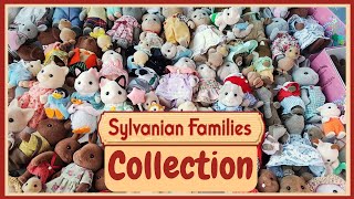 Sylvanian Families Collection 2023  Calico Critters [upl. by Cottle]