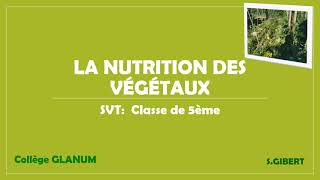 La nutrition des végétaux5ème [upl. by Smada430]