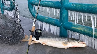 Saginaw Bay LAKE TROUT Fishing  Lake Huron Pier Casting  Caseville Michigan [upl. by Dugaid]