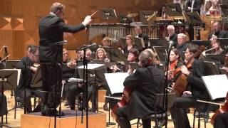 Netherlands Symphony Orchestra  Danse Macabre [upl. by Aicilyt306]