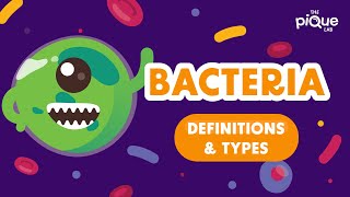 Bacteria Definition amp Types  Primary School Science Animation [upl. by Zolly662]