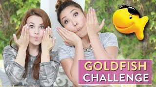 GOLDFISH CHALLENGE w Cassey Ho [upl. by Romina]