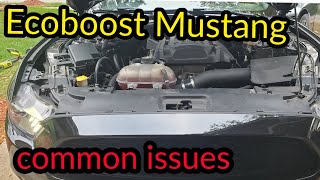 FORD ECOBOOST MUSTANG COMMON ISSUES [upl. by Nnylimaj]