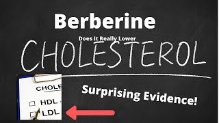 Berberine amp Cholesterol Review of Evidence [upl. by Yemar]