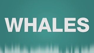 Whale SOUND EFFECT  whales under water SOUNDS [upl. by Yeslek]