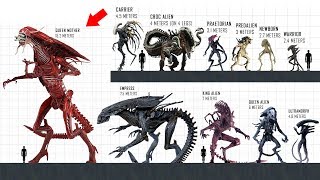 XENOMORPH Size Comparison [upl. by Reinhardt]