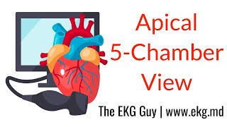 Apical 5Chamber View  ECHO Course l The EKG Guy  wwwekgmd [upl. by Deloris792]