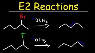 E2 Reaction Mechanism  Hoffman Elimination vs Zaitsevs Rule [upl. by Berrie]