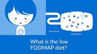 7 Quick amp Easy Low FODMAP Breakfast Recipe Ideas Low FODMAP Bread List included [upl. by Etselec]