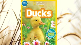 national geographic for kids Ducks [upl. by Garnet]