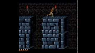 Prince of Persia Longplay SNES 50 FPS [upl. by Maible]