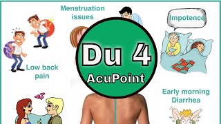 Du 4 Acupuncture Point GV 4 functions amp Location [upl. by Eimorej606]