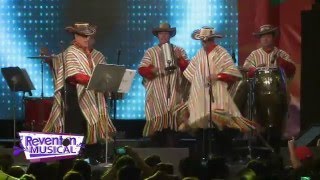 Reventón Musical Guacharacos de Colombia quotCumbia de los Kissquot [upl. by Aelhsa]