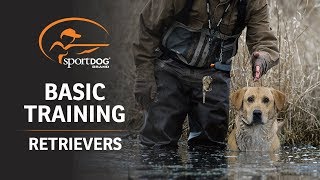 Basic Training  Retrievers [upl. by Joye]