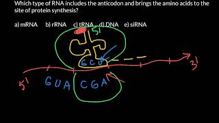 Codons and anticodons explained [upl. by Htiek445]