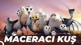 Maceracı Kuş Yellowbird Animasyon Filmi  Full Film İzle [upl. by Boswell]