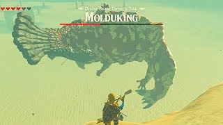 How to beat Molduking The Legend of Zelda BOTW  Fight the Brute of the Sand Molduking Boss [upl. by Jojo]