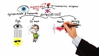 Pharmacology  ANTICHOLINERGIC amp NEUROMUSCULAR BLOCKING AGENTS MADE EASY [upl. by Aubry]