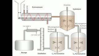 Process of Fermentation [upl. by Joost4]