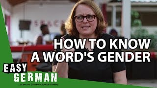 How to know a words gender  Super Easy German 70 [upl. by Alauqahs]