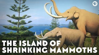 The Island of Shrinking Mammoths [upl. by Ayitahs127]