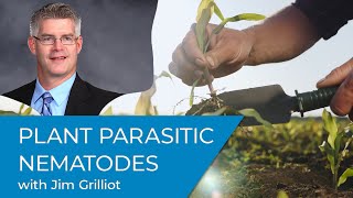 Plant Parasitic Nematodes [upl. by Adalai]