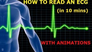 HOW TO READ AN ECG WITH ANIMATIONSin 10 mins [upl. by Ortrude]