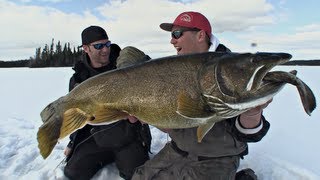 Giant Tipup Laker  iTrout Part 2 of 3  Uncut Angling  January 3 2013 [upl. by Arabelle]