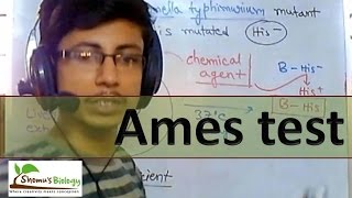 Ames test [upl. by Gene185]