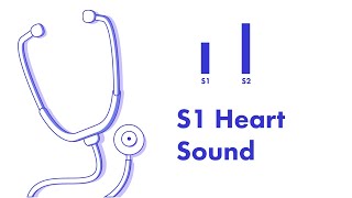 S1 Heart Sound  Learn How to Auscultate Part 8 [upl. by Cuthburt]