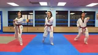 Taekwondo Basic Form 1 [upl. by Rekcut]