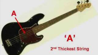 Bass Guitar Tuning [upl. by Juetta151]