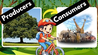 Producers and Consumers Herbivores Carnivores and Omnivores [upl. by Adalard]