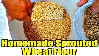 Homemade Sprouted Wheat Flour [upl. by Idur]