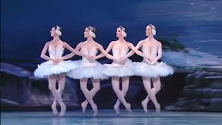 Swan Lake  Tchaikovsky [upl. by Michi]