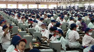 200jt Batang Sehari proses produksi pembuatan rokok Gudang Garam di pabriknya cigarette by hand [upl. by Wightman407]