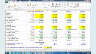 Financial Planning Budgeting and Forecasting Webinar [upl. by Renate]