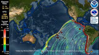 Tsunami 1960 Mw 95 Valdivia Earthquake in Chile [upl. by Lynette]