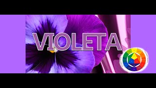 Como saco el Color Morado o Violeta [upl. by Kara-Lynn]