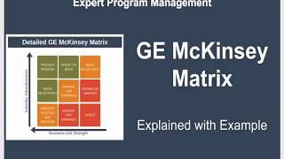 GE McKinsey Matrix  McKinsey Model  GE Matrix [upl. by Hseham137]