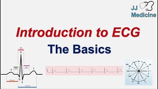 Introduction to ECG  The Basics  ECG Paper PQRST wave Rate Rhythm Axis and Interval [upl. by Lerad557]