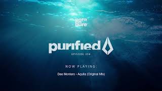 Purified Radio 359 [upl. by Avehsile]