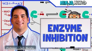 Biochemistry  Enzyme Inhibition [upl. by Lacagnia439]