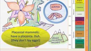 The Geologic Time Scale  Part 3 of 4 [upl. by Norraa]