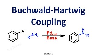 BuchwaldHartwig Coupling [upl. by Magner412]