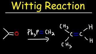 Wittig Reaction Mechanism [upl. by Bluh413]