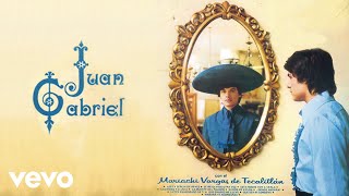 Juan Gabriel  Estoy Enamorado de Ti Cover Audio [upl. by Nneb486]