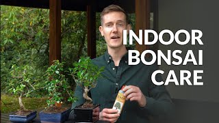 Indoor Bonsai care [upl. by Brine]